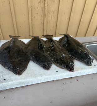 Atlantic City waters never disappoint.