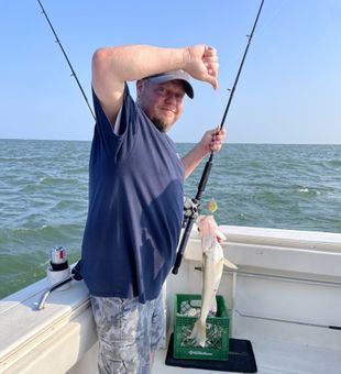 Lake Erie walleye fishing at its best: big catches and unforgettable action.
