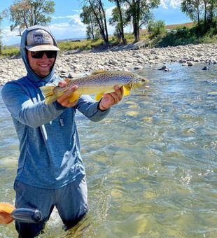 Brown trout fishing