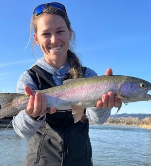 Rainbow trout in Livingston, MT
