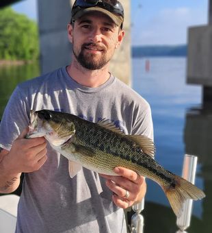 Get Hooked on Georgia Bass
