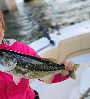 Hooked on Bass: Unleash Your Fishing Passion in GA