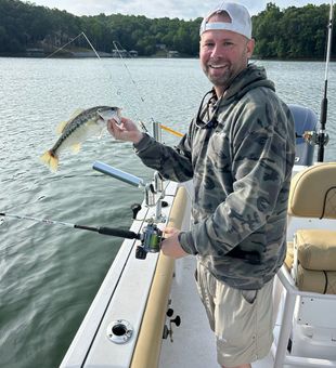 Striped bass fishing charter in GA