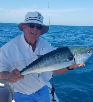 Caught a Nice Tuna in Sarasota, FL