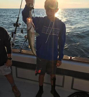 Walleye Chase: Lake Erie Adventure