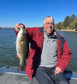 Bass Fishing In Guntersville