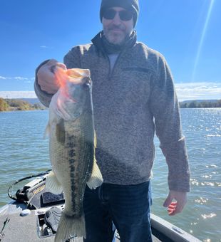 Guntersville Bass: Reel Thrills Await!