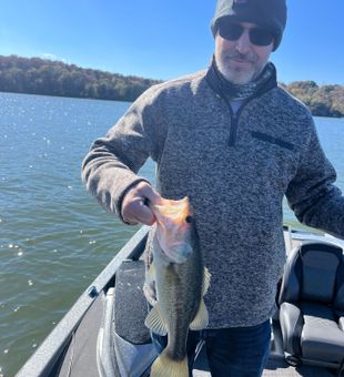 Lake Guntersville Fishing Guides 