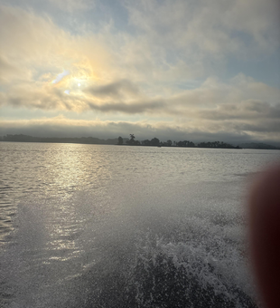 Clear skies and light tackle: the perfect recipe for a day on the water in Guntersville!
