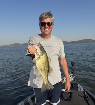 Sunrise bass fishing on Lake Guntersville—prime time bite