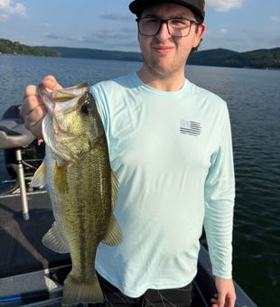 Landing heavy hitters on Lake Guntersville—famous for trophy largemouth!