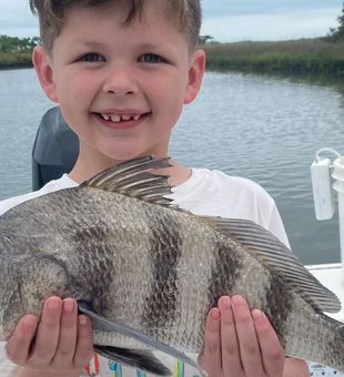 Grouper from Florida
