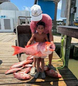 Dauphin Island’s Red Snapper: reel and repeat! 