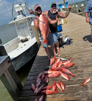 Sunny days, steady bites - Red Snapper