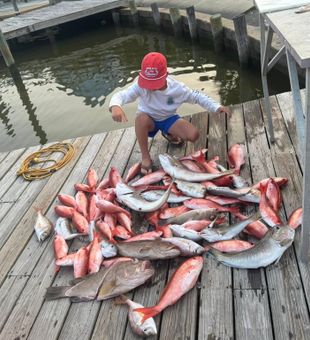 Epic Gulf Coast haul – red snapper, grouper, and more stacked high!