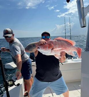 Salt air, big Snapper fish, no worries