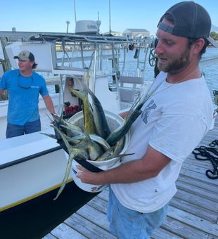 Gulf catch of the day—Dauphin style