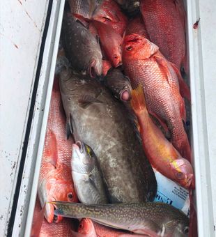 Saltwater therapy hits different when the fish are this big.