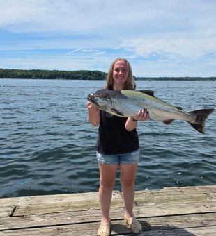 Beautiful Ogdensburg Chinook salmon from the lake!