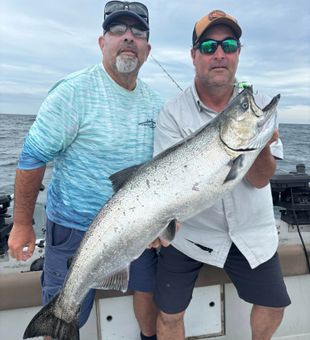 The Size is the reason we call it the King of Salmons Queen