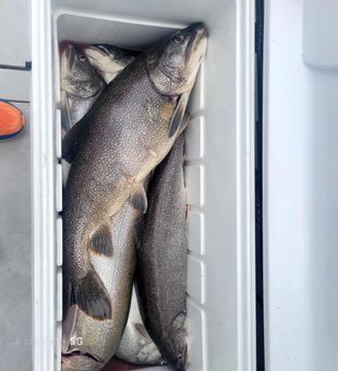 Early mornings bring the promise of big catches.