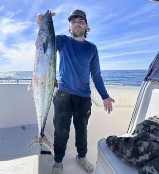 Tarpon catch ormond beach fishing charters