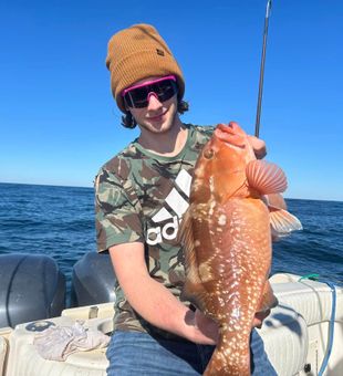 deep sea fishing ormond beach fl