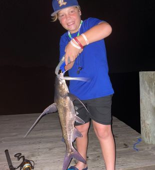Awesome hardhead catfish catch!