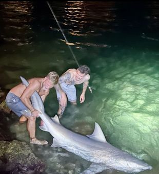 Private shark fishing charters Miami Beach for all ages