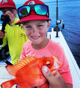 Vibrant red snapper catch!