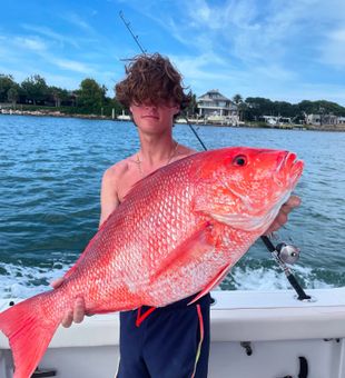 Massive red snapper catch!