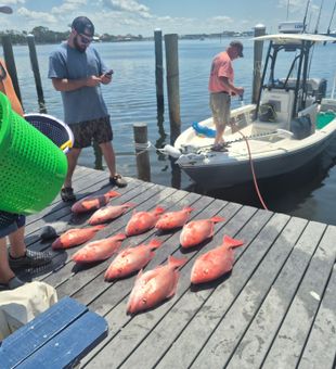 Calm seas, steady catches