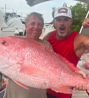 Outstanding red snapper from Panama City FL waters!