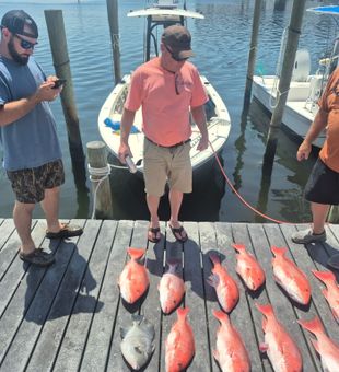 Snapper stacked and ready!