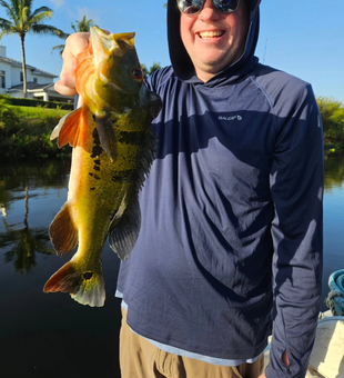 Peacock bass dreams come true! 