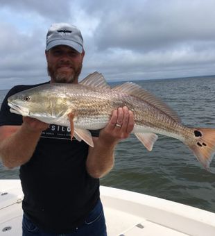 Redfish Inshore Fishing 2023