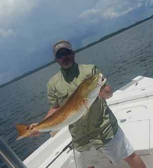 Red Drum in Santa Rosa Beach, FL