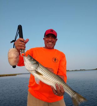 Trophy Bass in New Bern waters!