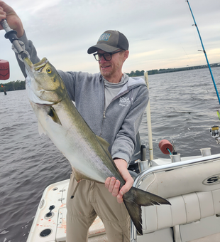 Nice bluefish on light tackle in New Bern!