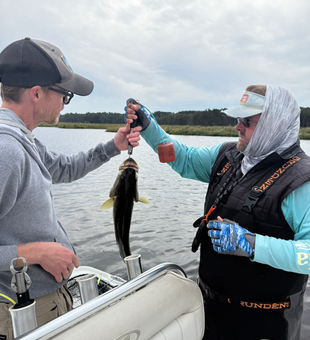 Nice catch on light tackle in these clear conditions!