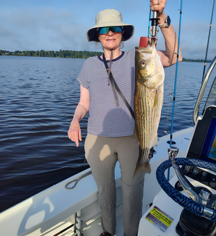 Battled this striped bass on light tackle - what an exciting catch!