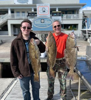 Gag Grouper in Florida