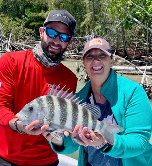 Sheepshead catch Anna Maria Island boat
