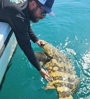 Grouper landed Anna Maria charter