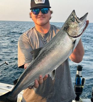 Catching Coho Salmon Lake Michigan