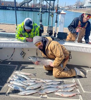Strong spring salmon catch on a productive charter day