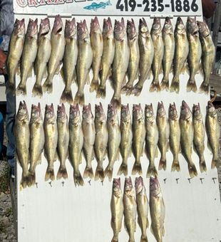 Marblehead guided fishing adventure