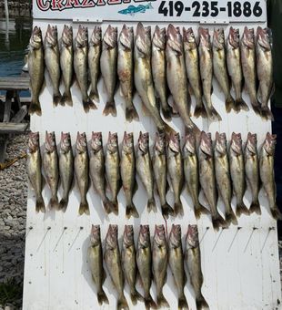Marblehead walleye charter delivers impressive results!