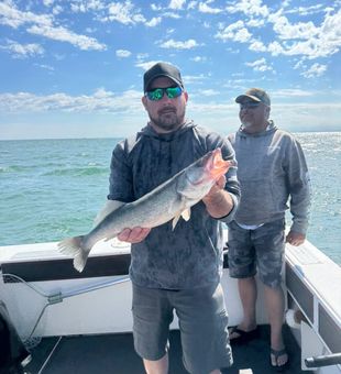 Nice walleye from Marblehead OH waters!