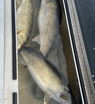 Fishing the waters of Marblehead.